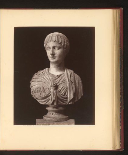 Bust
