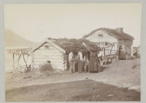 Wooden houses with roof vegetation in Norway