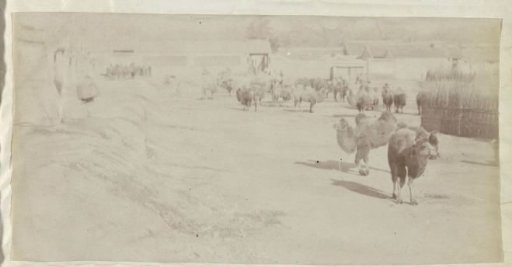 Market with Camels on a Square, China