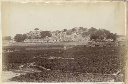 View of Tea Fields and a Village on a Hill, China