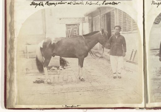 Portrait of a Chinese Man Leading a Horse Named Nondont