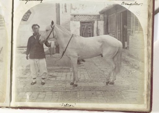 Portrait of a Man Leading a Horse Named Falcon