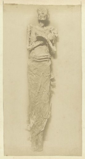 Mummified body of Pharaoh Ramses II
