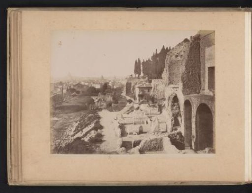 View of Rome from the Palatine Hill