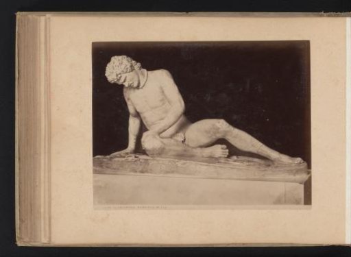Sculpture The Dying Gaul in the Capitoline Museums in Rome