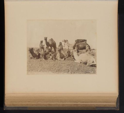 Men with Dromedaries in the Desert