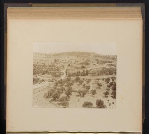 View of the Mount of Olives