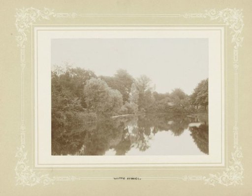 View of trees along the Witte Singel, Leiden