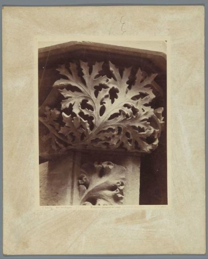Cast of a capital from the Cathedral of Troyes