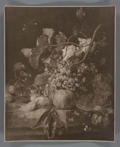 Photographic reproduction of the painting Still Life with Fruit