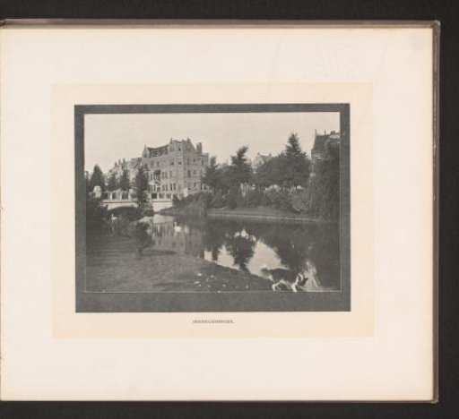 View of the Heemraadssingel in Rotterdam with a dog and swans