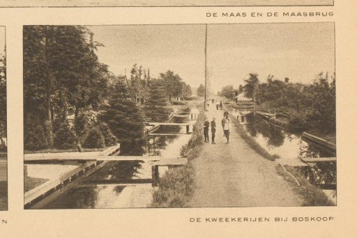 View of nurseries near Boskoop