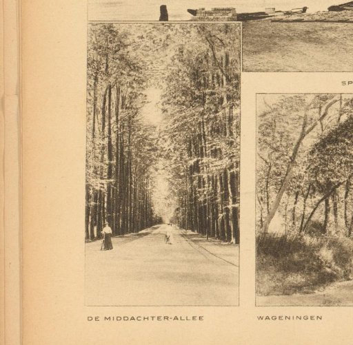 View of the Middachterallee between De Steeg and Ellecom, Gelderland