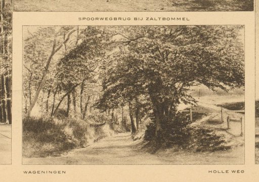 View of the Holleweg in Wageningen