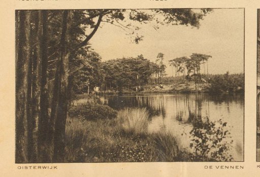View of the Oisterwijkse Vennen, North Brabant