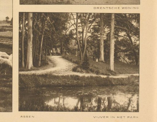 Pond in a Park in Assen