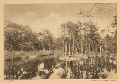 Pond in the Spanderswoud in the Gooi