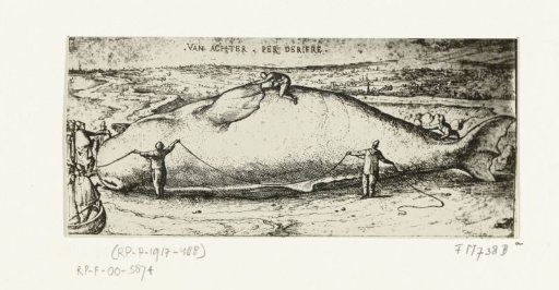 Print of the Stranded Whale near Antwerp, July 2, 1577