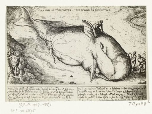 Print of the Stranded Whale near Antwerp, July 2, 1577
