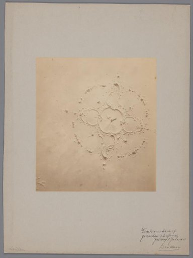 Ceiling of Vismarkt 16-17 in Leiden