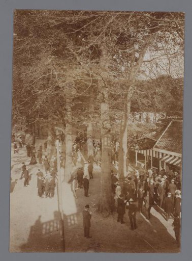 People in a park at horse races