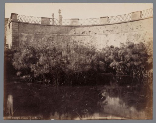 Fountain of Arethusa, Syracuse