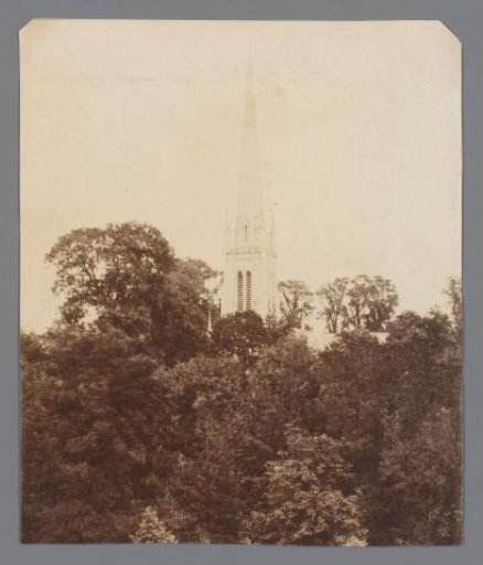 Church Tower Above the Trees of a Forest or Park