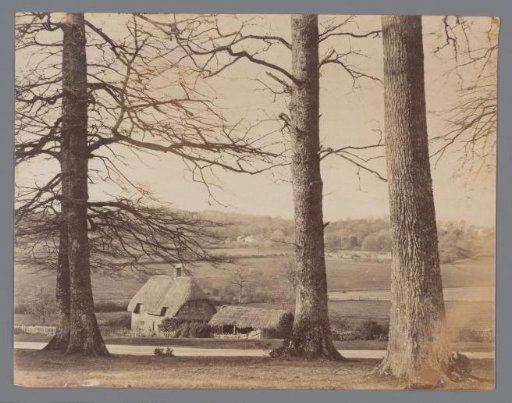 View of a House with a Thatched Roof, Barn, and Bare Trees in Rolling Landscape