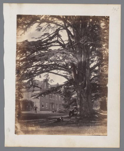 View of a Large Tree and a House, with Three Figures in the Foreground