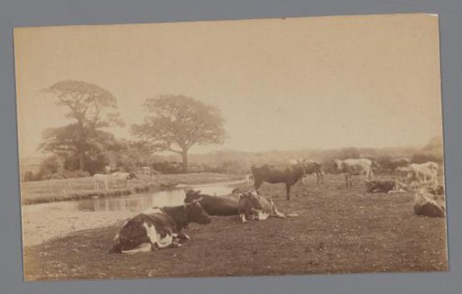 Landscape with cows along the water's edge