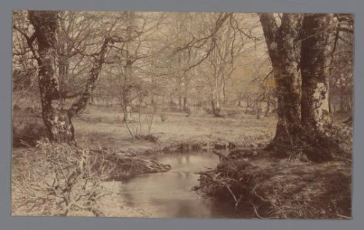 Landscape with a Meandering River and Bare Trees