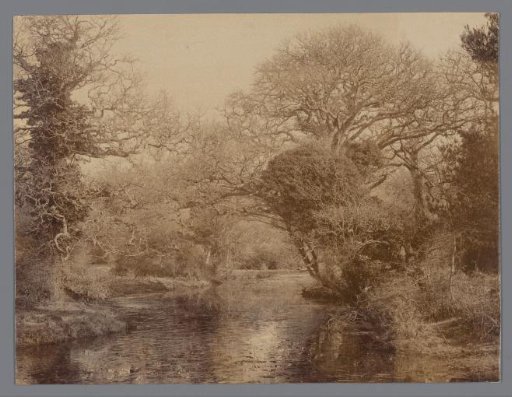 Landscape with a River and Trees on Both Sides