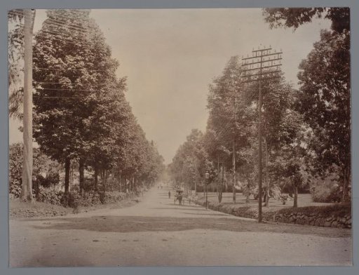 Street in or Near Buitenzorg (Present-Day Bogor), West Java