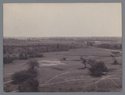 Landscape in the Dutch East Indies [?]
