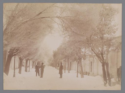 Aladavleh Avenue in the snow, Tehran