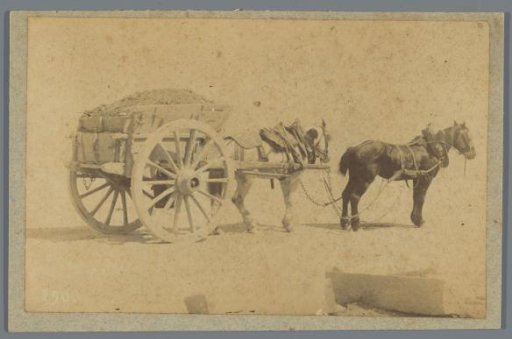 Horses for a cart, possibly in France