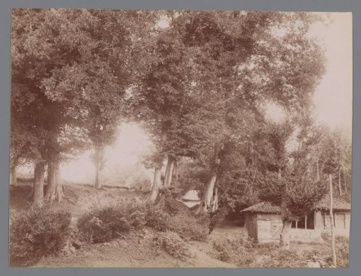Landscape with a few huts and trees ("La route de Rescht")