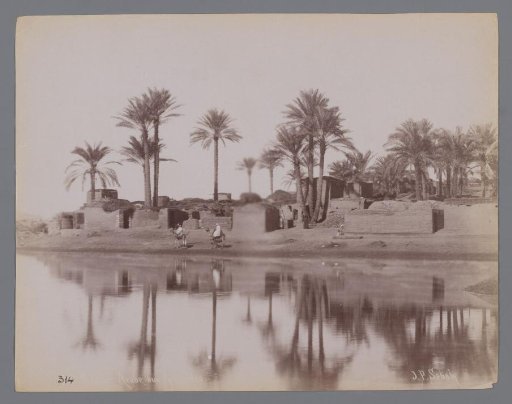 Landscape with water, palm trees and buildings, Middle East