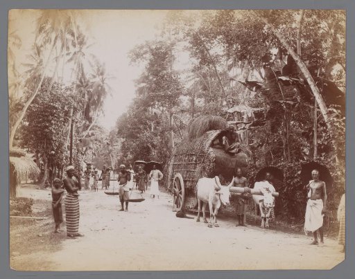 Street view in Galle, Sri Lanka