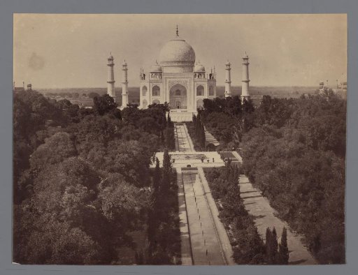 View of the Taj Mahal with Trees in the Foreground, Agra, Uttar Pradesh, India