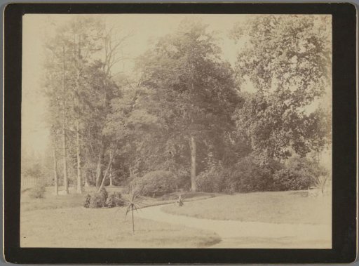 View of a garden