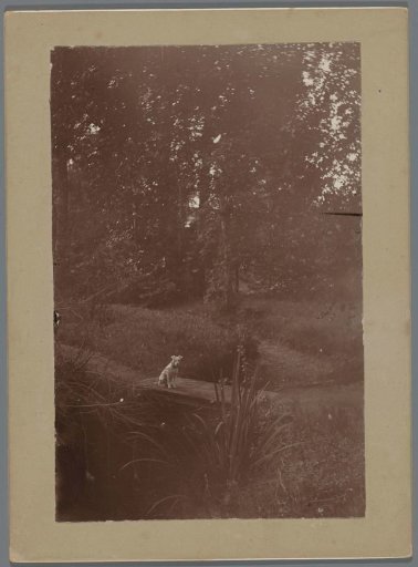 View of the garden at the Rustenhoven estate with a dog on the footbridge