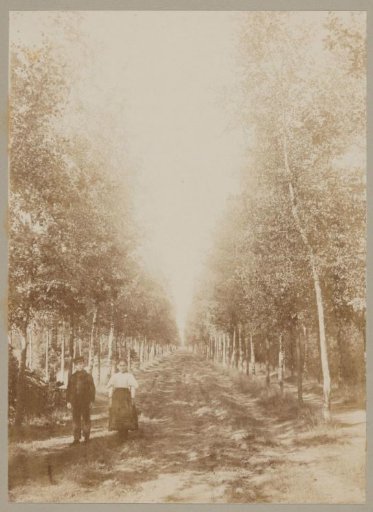 Portrait of two unknown children on a tree-lined avenue