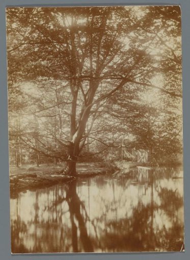 View of a shore