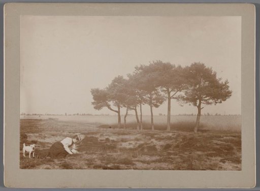The Jonker sisters | On the heath
