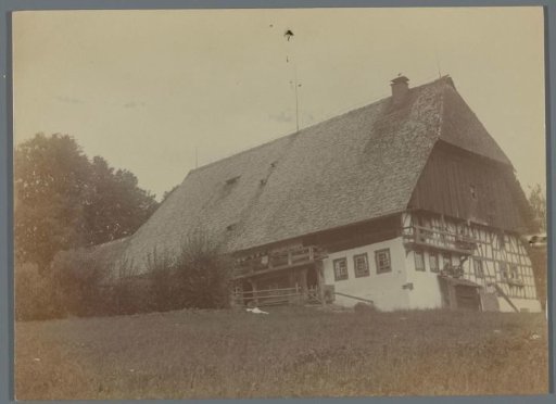 View of a farm