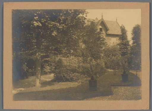 View of a garden