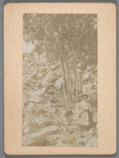 Woman sitting under a tree on a hill