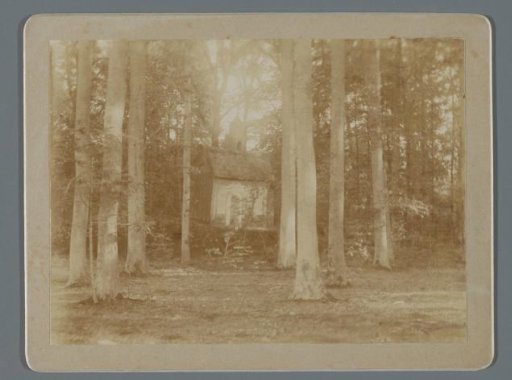 View of a chapel in a forest