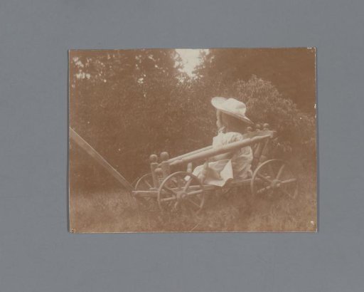 Portrait of an unknown girl in a carriage
